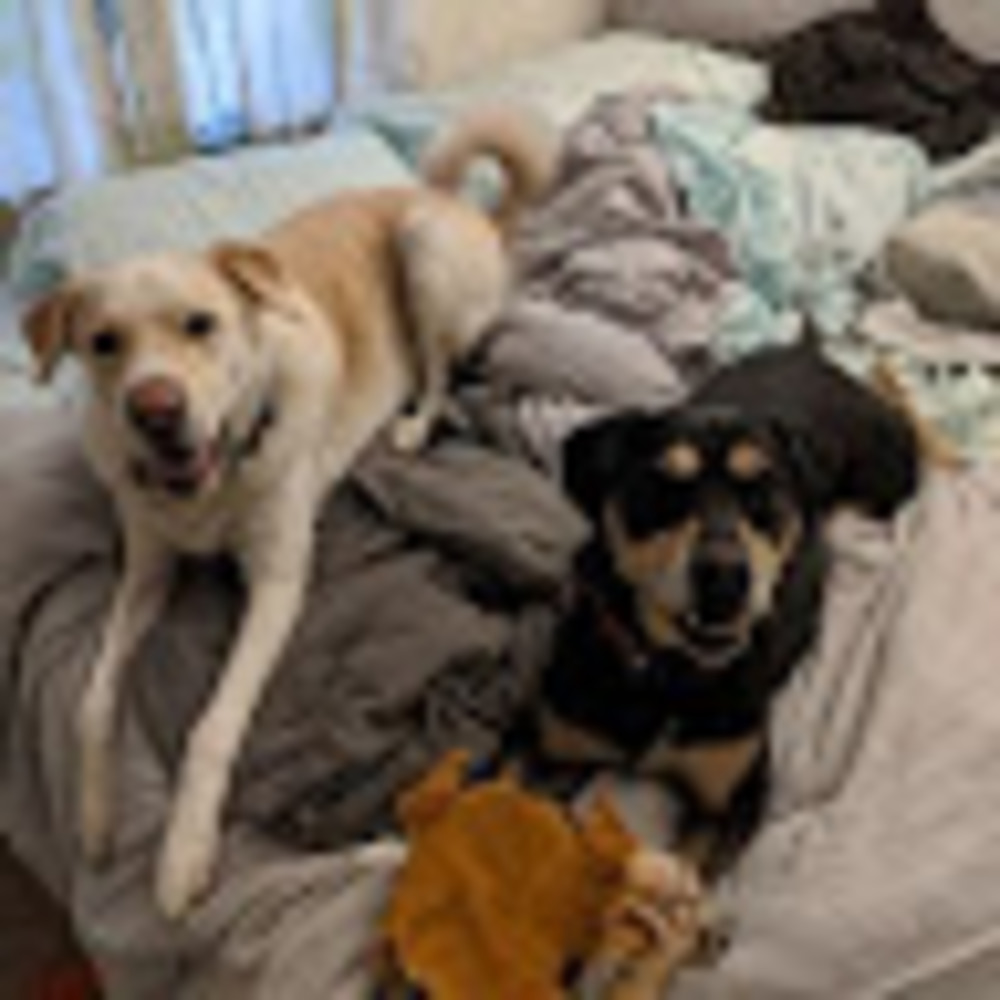 Meet your Posher, Kait